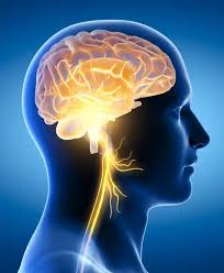 Neurology Department
